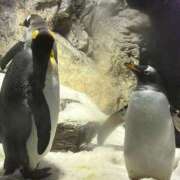 めう お礼です🕊𓈒𓏸︎︎︎︎ ホテルだヨ！全員集合