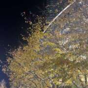 めう 🕊𓈒𓏸︎︎︎︎ ホテルだヨ！全員集合