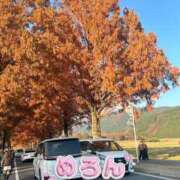 めろん 🍈 ホテルだヨ！全員集合