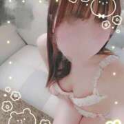 ヒメ日記 2025/02/24 01:08 投稿 ひなの ホテルだヨ！全員集合