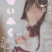 ヒメ日記 2025/02/28 08:08 投稿 ひなの ホテルだヨ！全員集合