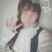 ヒメ日記 2025/03/04 19:58 投稿 ひなの ホテルだヨ！全員集合