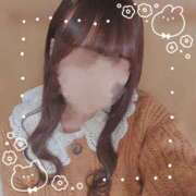 ヒメ日記 2025/03/27 14:18 投稿 ひなの ホテルだヨ！全員集合