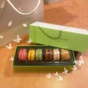 ヒメ日記 2025/04/11 11:08 投稿 もみじ ホテルだヨ！全員集合