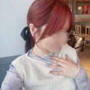 ヒメ日記 2025/04/28 11:08 投稿 もみじ ホテルだヨ！全員集合