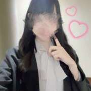 ヒメ日記 2025/04/11 06:28 投稿 ゆめ ホテルだヨ！全員集合