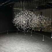 ヒメ日記 2025/05/21 23:08 投稿 ゆめ ホテルだヨ！全員集合