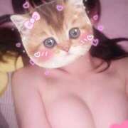 ヒメ日記 2025/07/21 20:24 投稿 ゆめ ホテルだヨ！全員集合