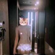 ヒメ日記 2025/09/02 08:04 投稿 ゆめ ホテルだヨ！全員集合