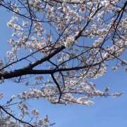 りお りおです🌸 ホテルだヨ！全員集合