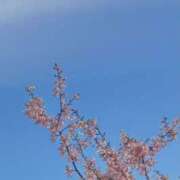 ヒメ日記 2026/04/02 13:28 投稿 まりあ アロマエステ アイウィッシュ