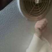 ヒメ日記 2025/02/19 15:29 投稿 あおば クラスメイト