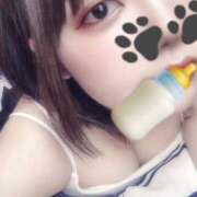 ヒメ日記 2025/06/21 16:58 投稿 ねも ホテルだヨ！全員集合