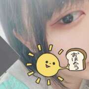 ヒメ日記 2025/06/22 16:18 投稿 ねも ホテルだヨ！全員集合