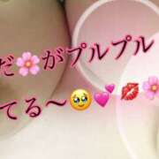 ヒメ日記 2025/04/10 03:28 投稿 しょうこ 熟生クラブ