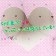 ヒメ日記 2025/04/12 13:30 投稿 しょうこ 熟生クラブ