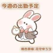 ヒメ日記 2025/08/26 13:49 投稿 花守ゆうり（はなもりゆうり） 桃色奥様(佐賀)