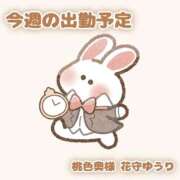 ヒメ日記 2025/09/22 21:25 投稿 花守ゆうり（はなもりゆうり） 桃色奥様(佐賀)