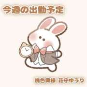 ヒメ日記 2025/11/04 13:05 投稿 花守ゆうり（はなもりゆうり） 桃色奥様(佐賀)