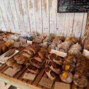 ヒメ日記 2025/11/27 12:05 投稿 花守ゆうり（はなもりゆうり） 桃色奥様(佐賀)