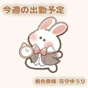 ヒメ日記 2025/12/01 23:25 投稿 花守ゆうり（はなもりゆうり） 桃色奥様(佐賀)