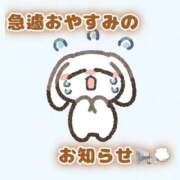 ヒメ日記 2026/02/13 20:35 投稿 花守ゆうり（はなもりゆうり） 桃色奥様(佐賀)