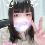 ヒメ日記 2025/04/03 18:15 投稿 みこと 栃木宇都宮ちゃんこ