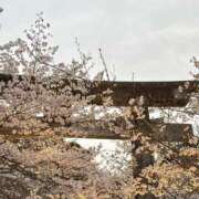 ヒメ日記 2025/04/01 23:34 投稿 ここ♡最年少18歳未経験ロリ巨乳♡ 即生専門店ゴッドパイ