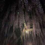 ヒメ日記 2025/04/26 21:24 投稿 ここ♡最年少18歳未経験ロリ巨乳♡ 即生専門店ゴッドパイ