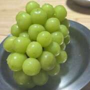 ヒメ日記 2025/11/11 23:50 投稿 ここ♡最年少18歳未経験ロリ巨乳♡ 即生専門店ゴッドパイ