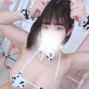 ヒメ日記 2025/03/22 03:16 投稿 くるみ E+アイドルスクール池袋店