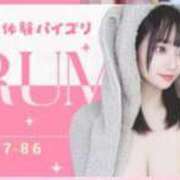 ヒメ日記 2025/04/15 14:06 投稿 くるみ E+アイドルスクール池袋店