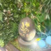 ヒメ日記 2025/05/16 19:46 投稿 くるみ E+アイドルスクール池袋店