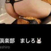 ヒメ日記 2025/05/29 00:55 投稿 ましろ 中洲秘密倶楽部