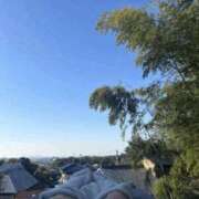 ヒメ日記 2026/02/20 13:25 投稿 ましろ 中洲秘密倶楽部