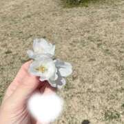 ヒメ日記 2026/04/13 10:11 投稿 五十嵐 あさひ（いがらし） あなたの性癖教えてください 古川店