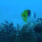 ヒメ日記 2025/02/21 09:30 投稿 真中 上野CLUB A(クラブ エー)