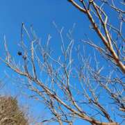 ヒメ日記 2025/03/03 21:10 投稿 真中 上野CLUB A(クラブ エー)