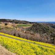 ヒメ日記 2025/03/10 09:31 投稿 真中 上野CLUB A(クラブ エー)