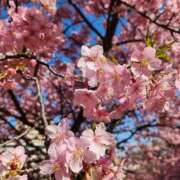 ヒメ日記 2025/03/17 20:01 投稿 真中 上野CLUB A(クラブ エー)