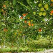 ヒメ日記 2025/03/20 20:50 投稿 真中 上野CLUB A(クラブ エー)