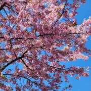 ヒメ日記 2025/03/25 10:30 投稿 真中 上野CLUB A(クラブ エー)