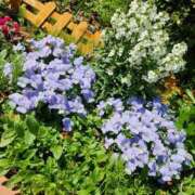 ヒメ日記 2025/04/20 22:01 投稿 真中 上野CLUB A(クラブ エー)