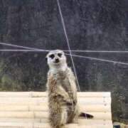 ヒメ日記 2025/06/19 07:00 投稿 真中 上野CLUB A(クラブ エー)