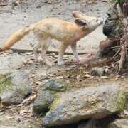 ヒメ日記 2025/06/29 07:00 投稿 真中 上野CLUB A(クラブ エー)