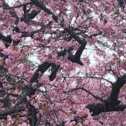 ヒメ日記 2026/03/04 07:00 投稿 真中 上野CLUB A(クラブ エー)