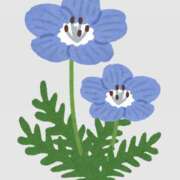 ヒメ日記 2026/04/13 07:00 投稿 真中 上野CLUB A(クラブ エー)