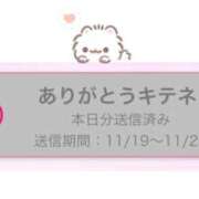 ヒメ日記 2025/11/19 22:01 投稿 あかり CECIL