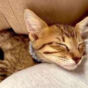 ヒメ日記 2025/09/26 11:50 投稿 ♡せんり先生♡ 梅田ムチぽよ女学院