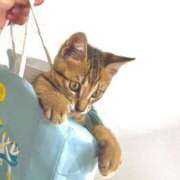 ヒメ日記 2025/11/06 17:10 投稿 ♡せんり先生♡ 梅田ムチぽよ女学院